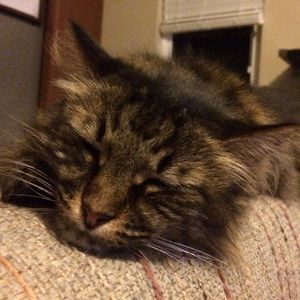 Meet your Posher, Jenny