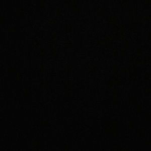 Meet your Posher, Peyton