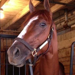 Meet your Posher, Jamie