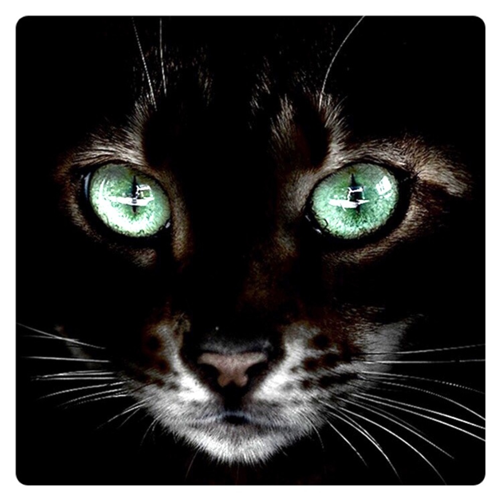 Meet your Posher, Doondies