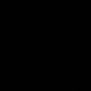 Meet your Posher, Deangela