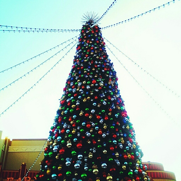 Meet your Posher, Carlos - Picture 1 of 1