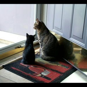 Meet your Posher, Jana