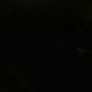 Meet your Posher, Bianca