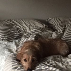 Meet your Posher, Barbara