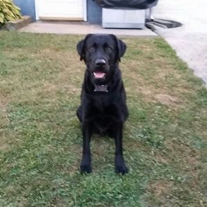 Meet your Posher, Leighann