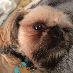 Meet your Posher, Candace