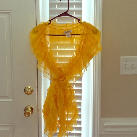 Arden B beautiful sheer ruffle blouse