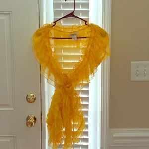 Arden B beautiful sheer ruffle blouse