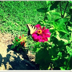 Meet your Posher, Matoka