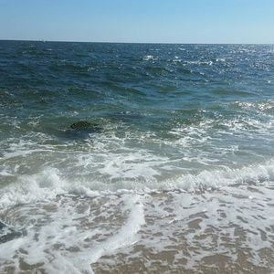 Meet your Posher, Alicia