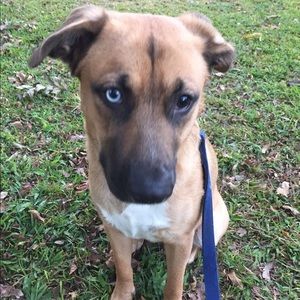 Meet your Posher, Gina