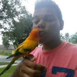 Meet your Posher, Kevin