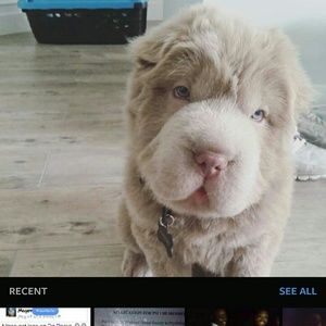 Meet your Posher, Tynisha