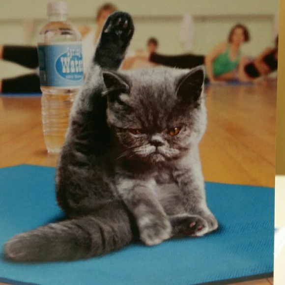 Meet your Posher, Kelly - Picture 1 of 1