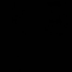 Meet your Posher, Elida r