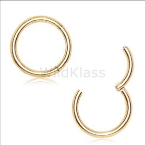 Hinged Septum Ring Gold 16G 14G Segment Seamless