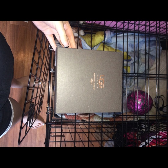 Ugg cleaner