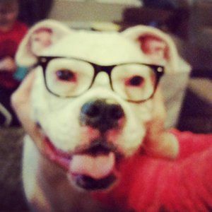 Meet your Posher, Mindy