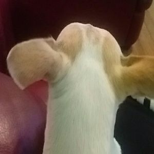 Meet your Posher, Diego