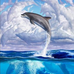 Meet your Posher, William