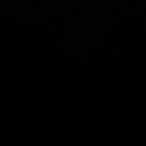 Meet your Posher, Oscar