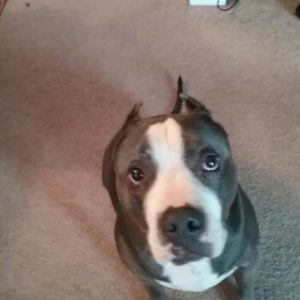 Meet your Posher, Kiara