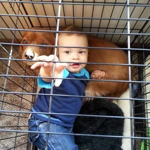 Meet your Posher, Tosha