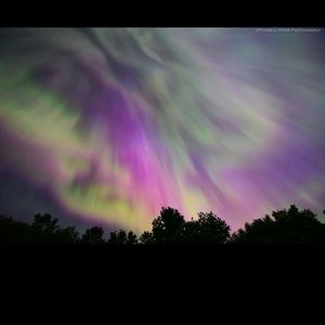 Meet your Posher, Dana