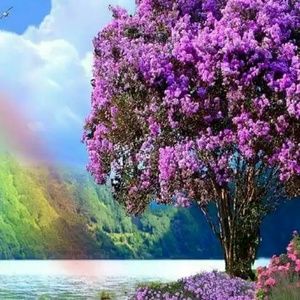 Meet your Posher, Marcela