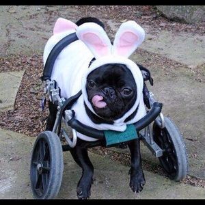 Meet your Posher, Stacy