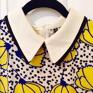 Zara Dress with Pointed Collar