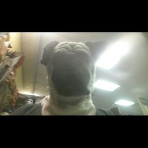 Meet your Posher, Jan