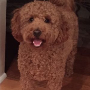 Meet your Posher, Erin