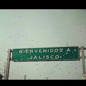 Meet your Posher, Letty