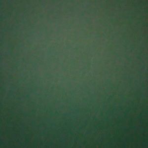 Meet your Posher, Shelbi