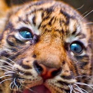 Meet your Posher, Jere