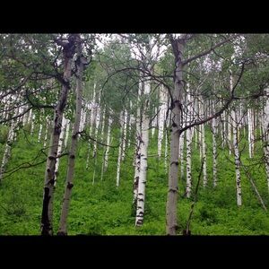 Meet your Posher, Sasha