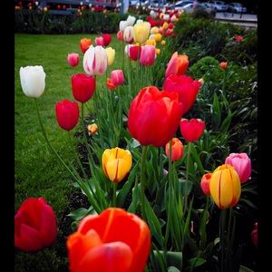 Meet your Posher, Jess &des