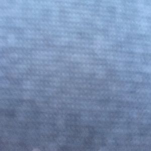 Meet your Posher, Raven