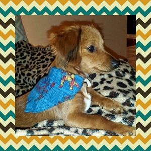 Meet your Posher, Christina