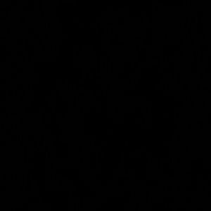 Meet your Posher, Abigail