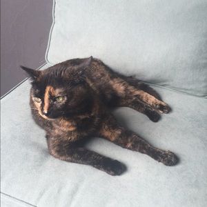 Meet your Posher, Annelise