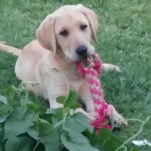 Meet your Posher, Diane