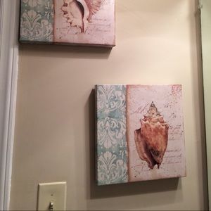 Sea shell wall decor
