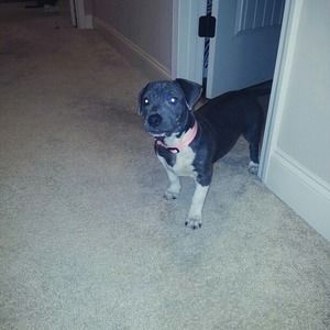 Meet your Posher, Milton louis