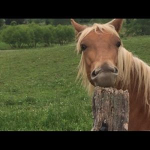 Meet your Posher, Shauna