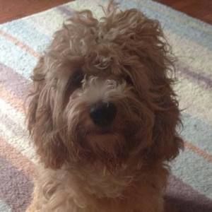 Meet your Posher, Arlene