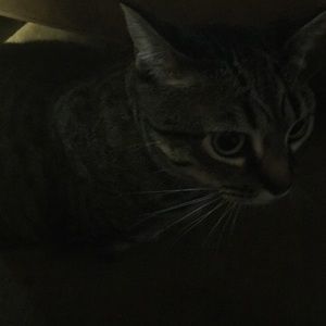 Meet your Posher, Gina