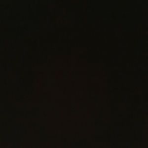 Meet your Posher, Bella